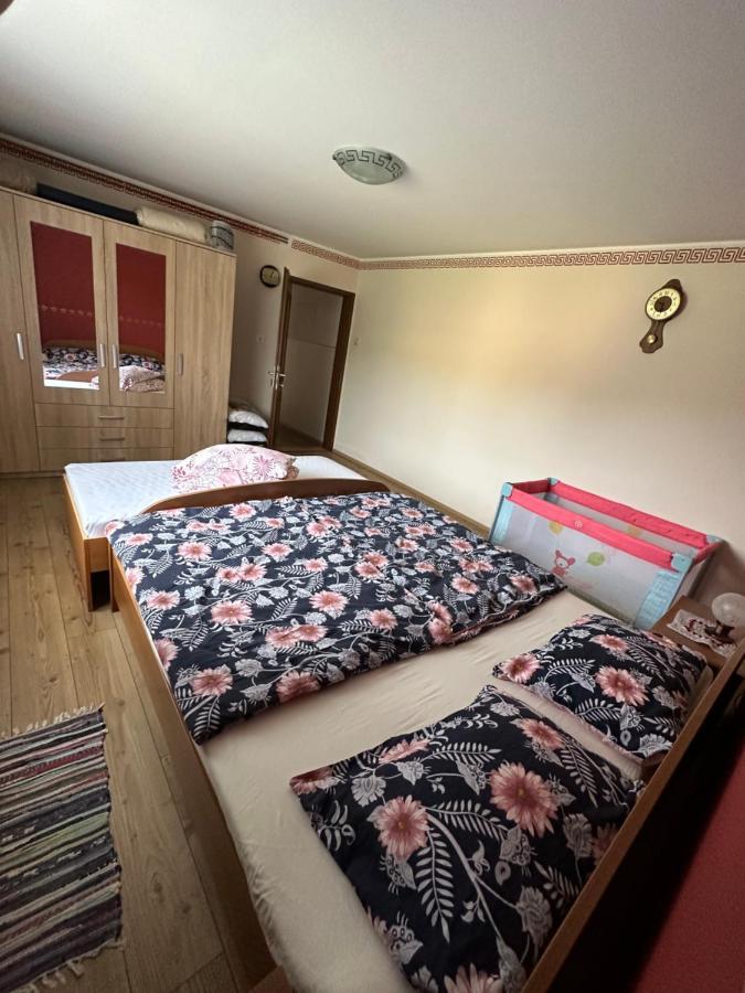 Apartma Zeleni Raj Ptuj Exteriör bild
